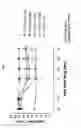 Fig. 05 - Parenteral Administration of Tapentadol