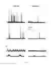 Fig. 02 - Modulators of intracellular chloride concentration for treating neurodegenerative diseases with Parkinsonian Syndromes