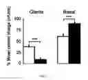 Fig. 04 - Modulators of intracellular chloride concentration for treating neurodegenerative diseases with Parkinsonian Syndromes