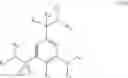 Fig. 06 - Modulators of intracellular chloride concentration for treating neurodegenerative diseases with Parkinsonian Syndromes
