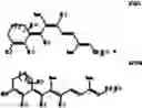 Fig. 16 - METHODS FOR MAKING RETINOIDS AND USES THEREOF
