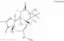 Fig. 91 - Compositions And Methods Of Use Of Phorbol Esters