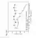 Fig. 19 - HUMAN THERAPEUTIC AGENTS