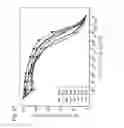 Fig. 87 - HUMAN THERAPEUTIC AGENTS