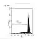 Fig. 15 - Human therapeutic agents