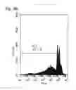 Fig. 16 - Human therapeutic agents