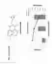 Fig. 06 - Methods and compositions for treating β-thalassemia and sickle cell disease