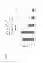 Fig. 12 - Methods and compositions for treating β-thalassemia and sickle cell disease