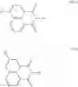 Fig. 31 - Methods and compositions for treating β-thalassemia and sickle cell disease
