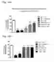 Fig. 20 - Systems and methods for treating an opioid-induced adverse pharmacodynamic response
