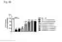 Fig. 26 - Systems and methods for treating an opioid-induced adverse pharmacodynamic response