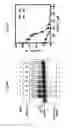 Fig. 16 - Small molecular inhibitors of RAD51 recombinase and methods thereof