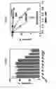 Fig. 34 - Small molecular inhibitors of RAD51 recombinase and methods thereof