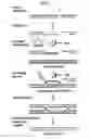Fig. 36 - Small molecular inhibitors of RAD51 recombinase and methods thereof