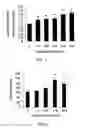 Fig. 02 - Compounds and methods for enhancing erythropoiesis