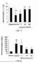 Fig. 05 - Compounds and methods for enhancing erythropoiesis