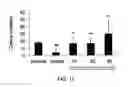 Fig. 07 - Compounds and methods for enhancing erythropoiesis