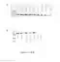 Fig. 14 - CFTR mRNA compositions and related methods and uses
