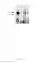 Fig. 16 - CFTR mRNA compositions and related methods and uses