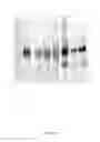 Fig. 20 - CFTR mRNA compositions and related methods and uses