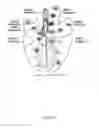 Fig. 23 - CFTR mRNA compositions and related methods and uses
