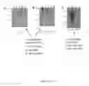 Fig. 35 - CFTR mRNA compositions and related methods and uses