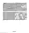 Fig. 43 - CFTR mRNA compositions and related methods and uses
