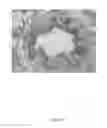 Fig. 46 - CFTR mRNA compositions and related methods and uses