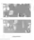 Fig. 50 - CFTR mRNA compositions and related methods and uses