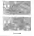 Fig. 54 - CFTR mRNA compositions and related methods and uses