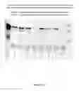 Fig. 57 - CFTR mRNA compositions and related methods and uses