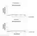 Fig. 05 - NOVEL COMPOSITION METHOD OF USING THE SAME FOR THE TREATMENT OF LYME DISEASE