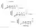 Fig. 10 - NOVEL COMPOSITION METHOD OF USING THE SAME FOR THE TREATMENT OF LYME DISEASE