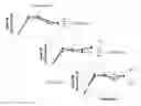 Fig. 13 - NOVEL COMPOSITION METHOD OF USING THE SAME FOR THE TREATMENT OF LYME DISEASE
