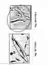 Fig. 06 - Methods and compositions for optimized expansion and implantation of mesenchymal stem cells