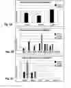 Fig. 09 - Methods and compositions for optimized expansion and implantation of mesenchymal stem cells