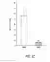 Fig. 04 - HIGH TELOMERASE ACTIVITY BONE MARROW MESENCHYMAL STEM CELLS, METHODS OF PRODUCING THE SAME AND PHARMACEUTICALS AND TREATMENT METHODS BASED THEREON