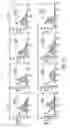 Fig. 05 - HIGH TELOMERASE ACTIVITY BONE MARROW MESENCHYMAL STEM CELLS, METHODS OF PRODUCING THE SAME AND PHARMACEUTICALS AND TREATMENT METHODS BASED THEREON