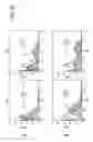 Fig. 07 - HIGH TELOMERASE ACTIVITY BONE MARROW MESENCHYMAL STEM CELLS, METHODS OF PRODUCING THE SAME AND PHARMACEUTICALS AND TREATMENT METHODS BASED THEREON