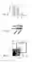 Fig. 12 - HIGH TELOMERASE ACTIVITY BONE MARROW MESENCHYMAL STEM CELLS, METHODS OF PRODUCING THE SAME AND PHARMACEUTICALS AND TREATMENT METHODS BASED THEREON