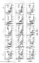 Fig. 14 - HIGH TELOMERASE ACTIVITY BONE MARROW MESENCHYMAL STEM CELLS, METHODS OF PRODUCING THE SAME AND PHARMACEUTICALS AND TREATMENT METHODS BASED THEREON