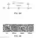 Fig. 24 - HIGH TELOMERASE ACTIVITY BONE MARROW MESENCHYMAL STEM CELLS, METHODS OF PRODUCING THE SAME AND PHARMACEUTICALS AND TREATMENT METHODS BASED THEREON