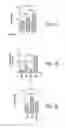 Fig. 32 - HIGH TELOMERASE ACTIVITY BONE MARROW MESENCHYMAL STEM CELLS, METHODS OF PRODUCING THE SAME AND PHARMACEUTICALS AND TREATMENT METHODS BASED THEREON