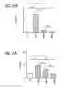 Fig. 46 - HIGH TELOMERASE ACTIVITY BONE MARROW MESENCHYMAL STEM CELLS, METHODS OF PRODUCING THE SAME AND PHARMACEUTICALS AND TREATMENT METHODS BASED THEREON