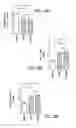 Fig. 47 - HIGH TELOMERASE ACTIVITY BONE MARROW MESENCHYMAL STEM CELLS, METHODS OF PRODUCING THE SAME AND PHARMACEUTICALS AND TREATMENT METHODS BASED THEREON