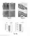 Fig. 09 - Wound healing and tissue engineering