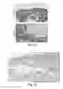 Fig. 10 - Wound healing and tissue engineering