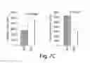 Fig. 11 - Wound healing and tissue engineering