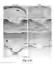 Fig. 17 - Wound healing and tissue engineering