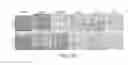 Fig. 18 - Wound healing and tissue engineering
